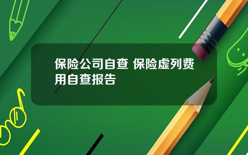 保险公司自查 保险虚列费用自查报告